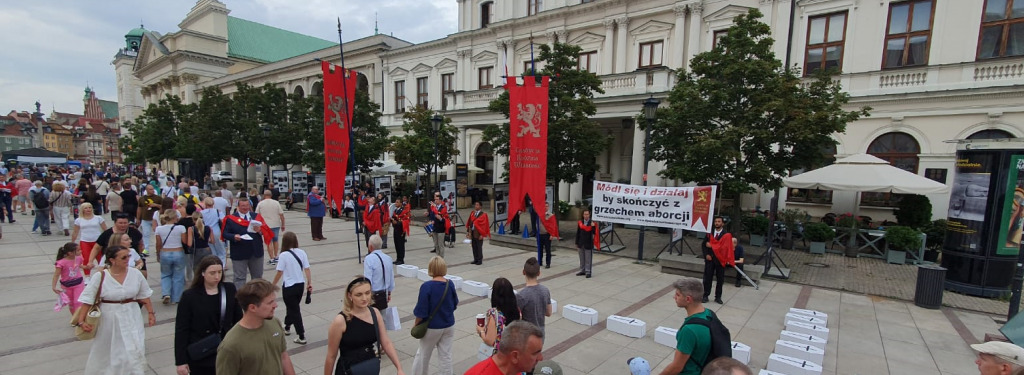 Podsumowanie Kampanii Pro-Life w Niemczech i Polsce