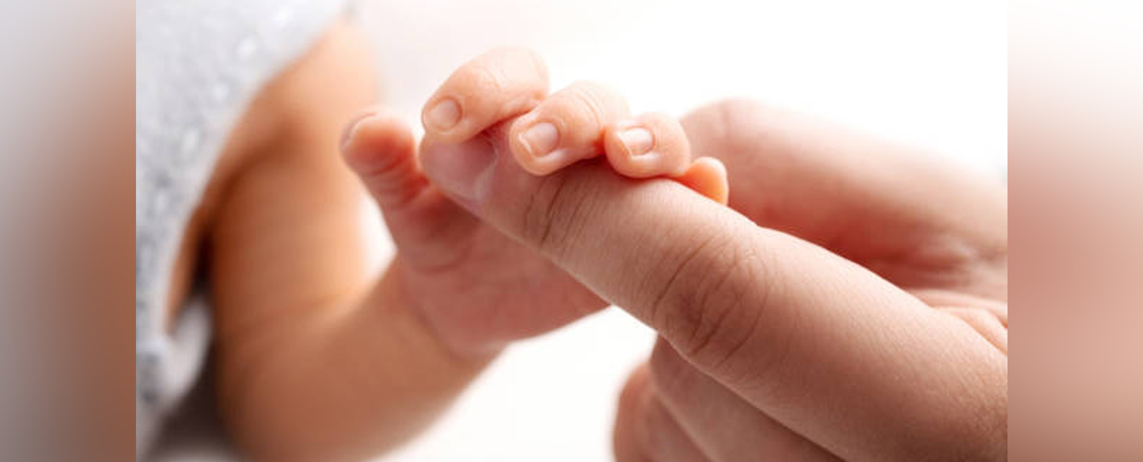 Największe mity OBALONE: Rozwój prenatalny człowieka